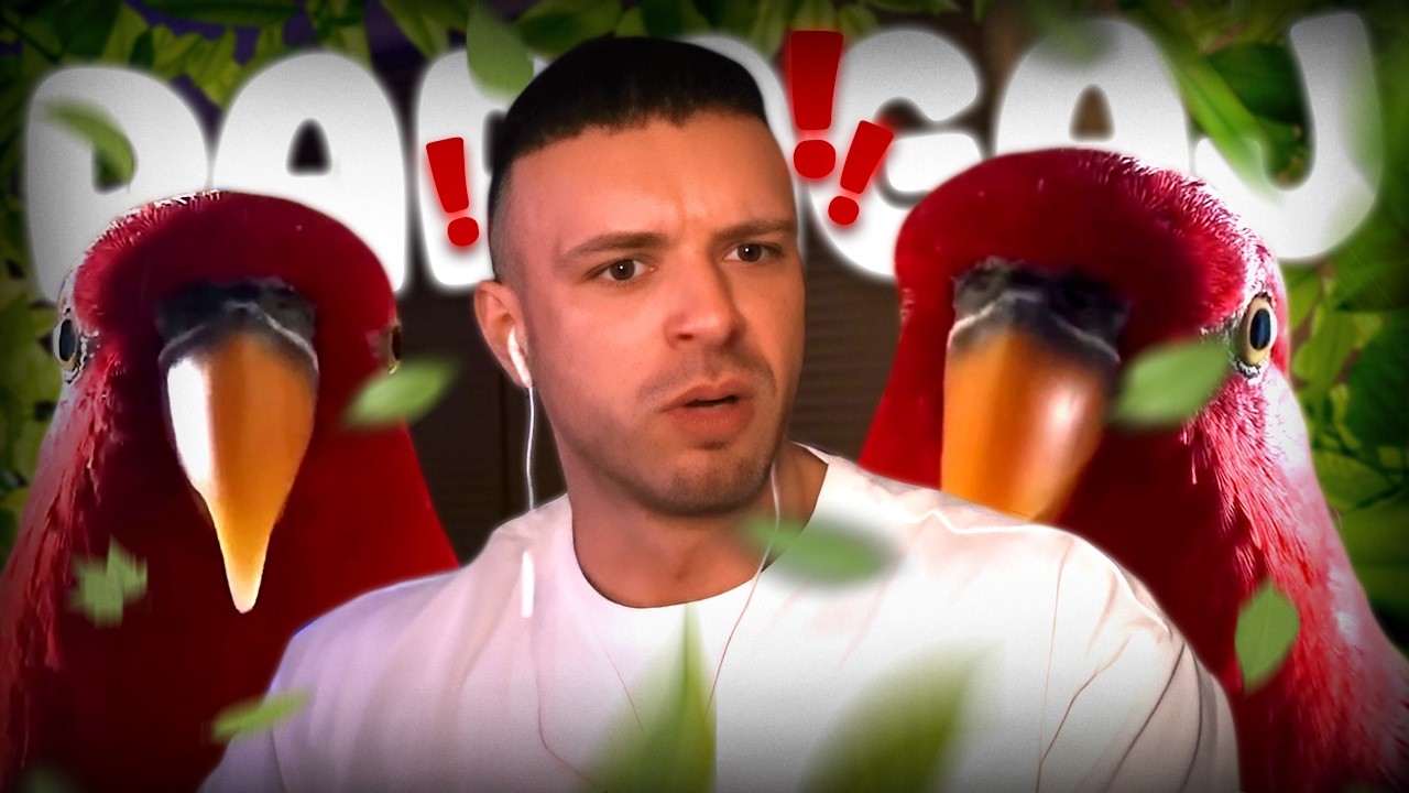 Papagáj ovládol Stream.. | RESTT