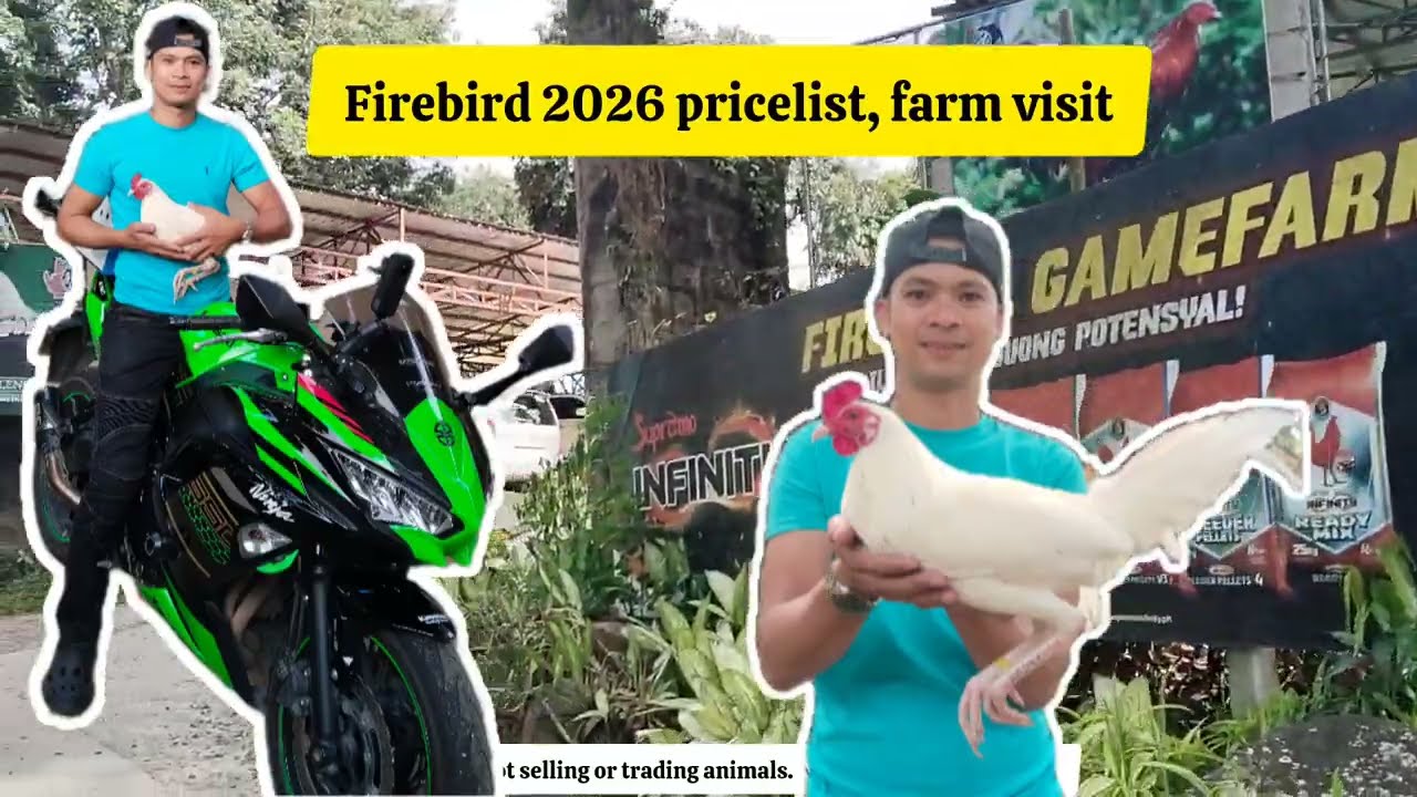 Firebird Gamefarm visit March 18, 2026