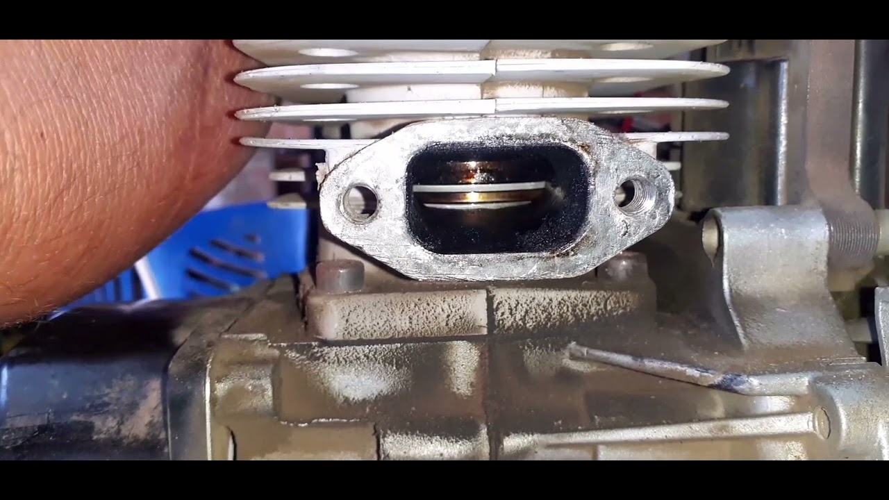 Revizie tehnica motocoasă micul fermier !