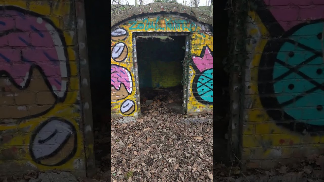 Wartime Shelters Abandoned in the Woods🍍 #ww2 #urbex #relicsofthepast