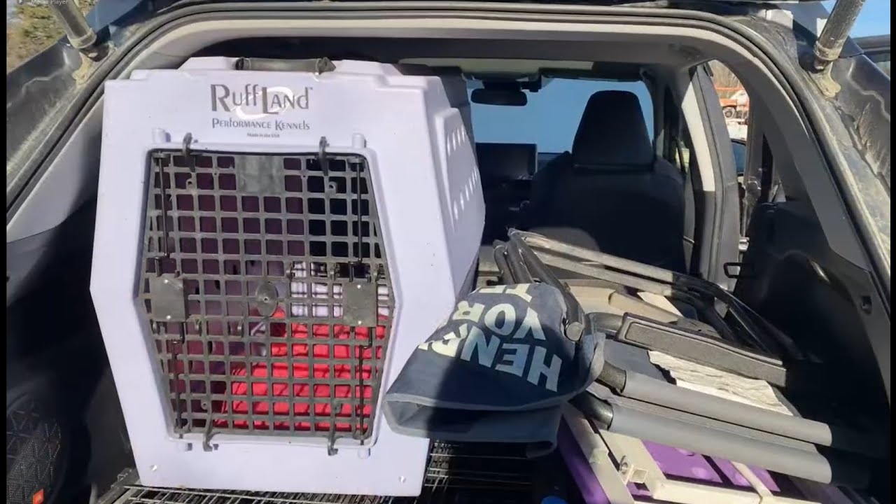 Dog Show Packing / Travel / Hotel Room Tour