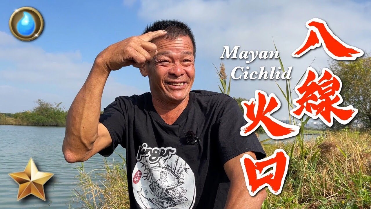 野味27集 | 八線火口 | 鯛魚燒 | Mayan cichlid | 萍哥Pinger