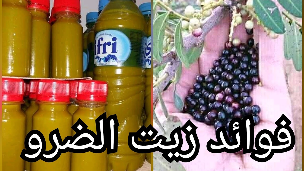 فوائد🌿 و طريقة استخراج🌹 زيت الضرو 🌺(القضوم)🥀فلبيت بطريقة تقليدية🍁 وسهلة /تعريف🍂💮 ثمار الضرو🌹❤️