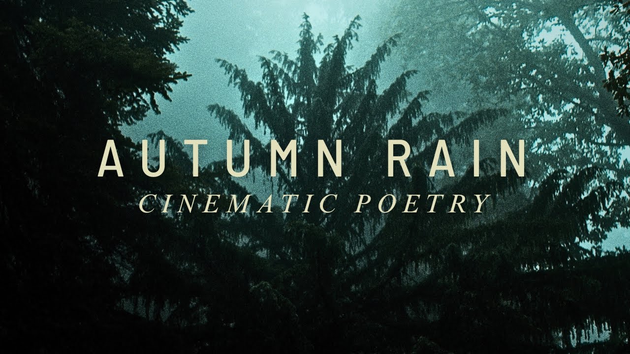Autumn Rain | Shot on BMCC6K + Blazar Mantis Anamorphic | Cinematic Poem