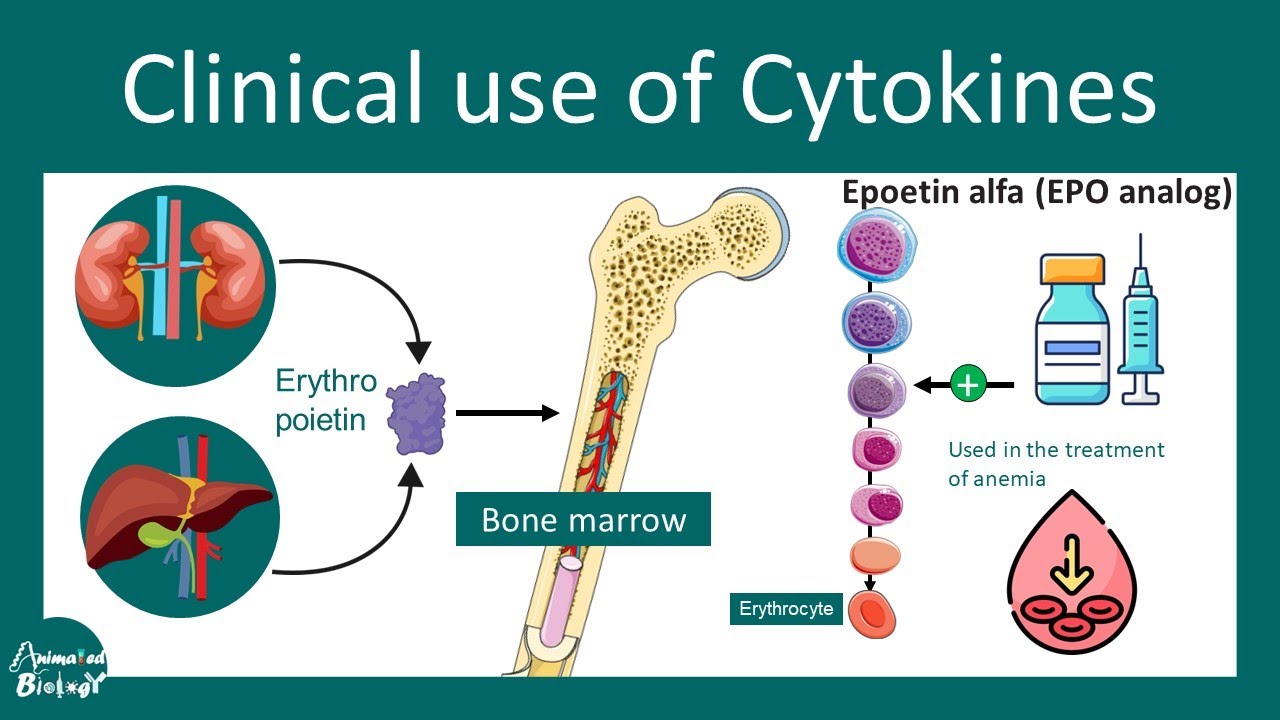 Cytokine clinical usage | cytokines as medicine | USMLE step 1