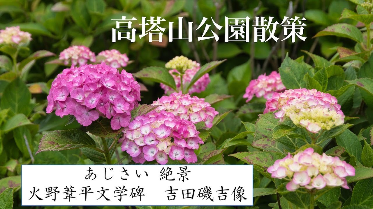 高塔山公園散策