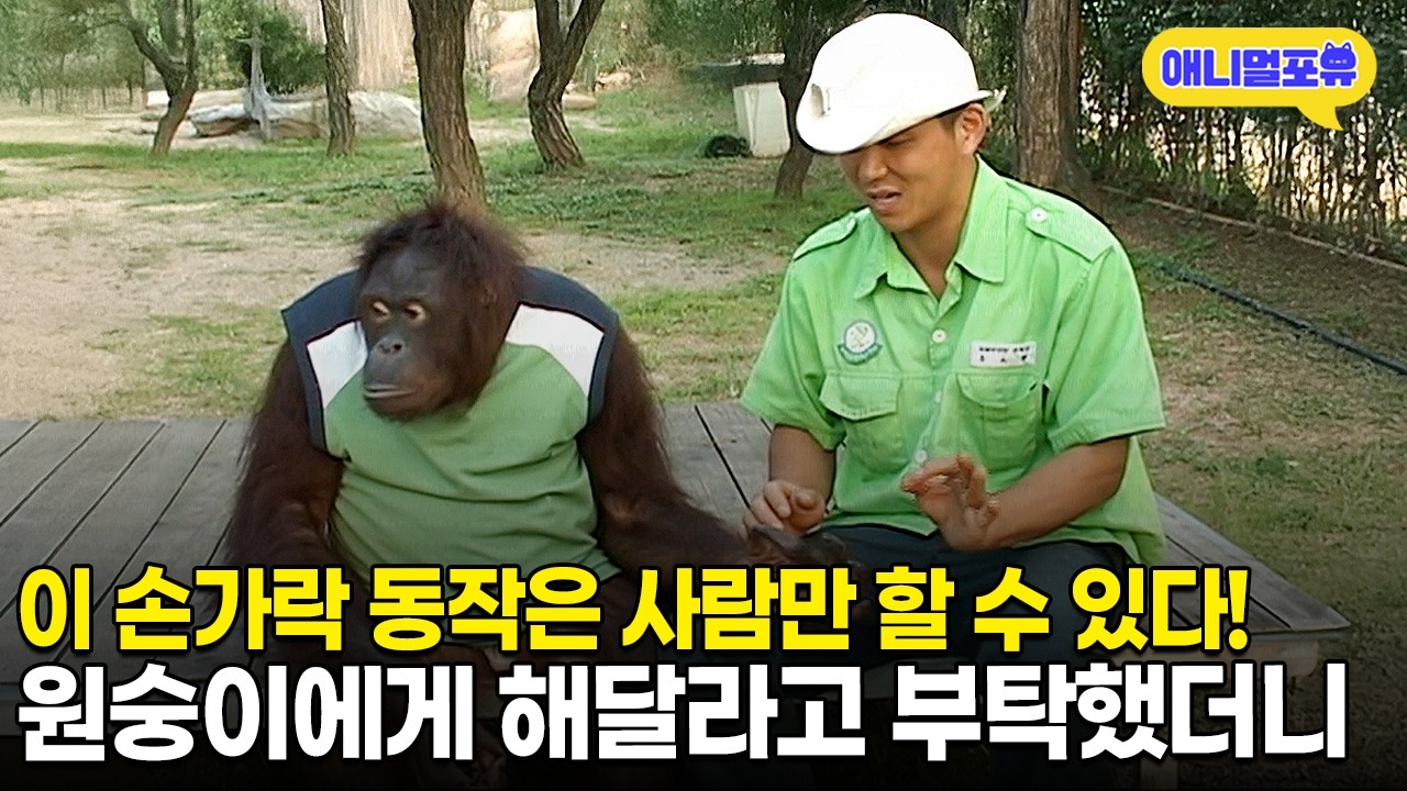 이 동작은 사람만 할 수 있다고?! 그래서 저희가 실험해봤습니다ㅣKBS 스펀지 110930 방송