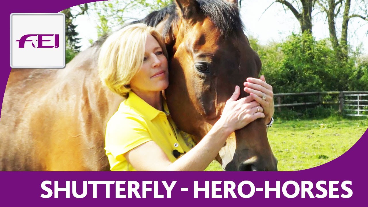 Shutterfly & Meredith Michaels-Beerbaum - Hero Horses