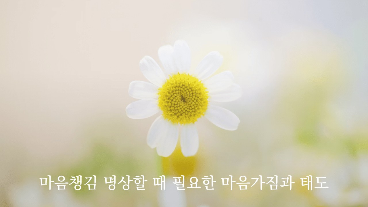 마음챙김 명상할 때 필요한 마음가짐과 태도