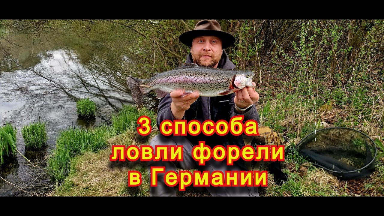 Как ловить форель в Германии. Три основные способы ловли на платных озерах.