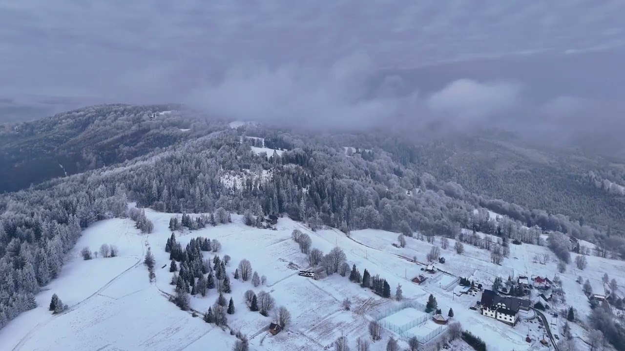 Hala Boracza 02 2026