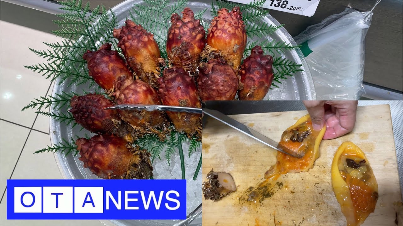 SEA Pineapple? SEA Squirts?- OTA News