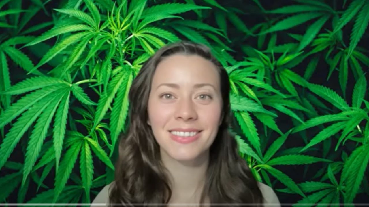 Feminized vs. Regular Cannabis Seeds - What&rsquo;s best for YOUR grow?