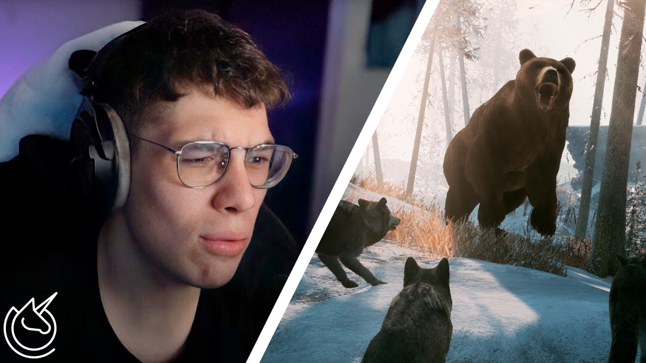 Mirá el tamaño de ese OSO 😰