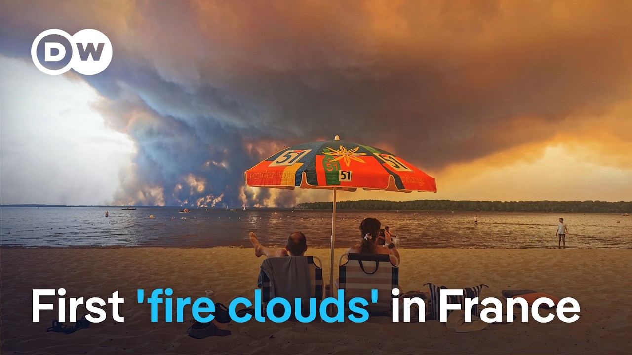 Witnesses describe 'wall of flames' as wildfires rage on in France and Spain | DW News