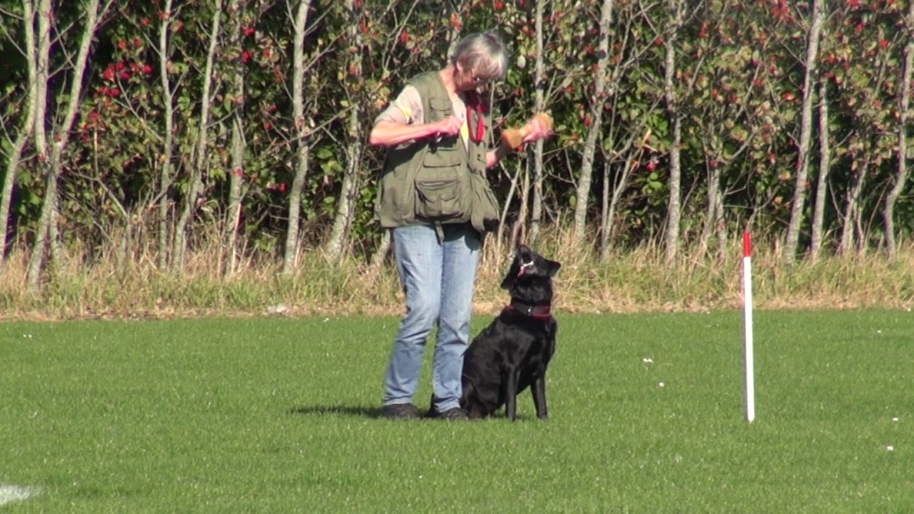 Knud og Inger til DM 2019