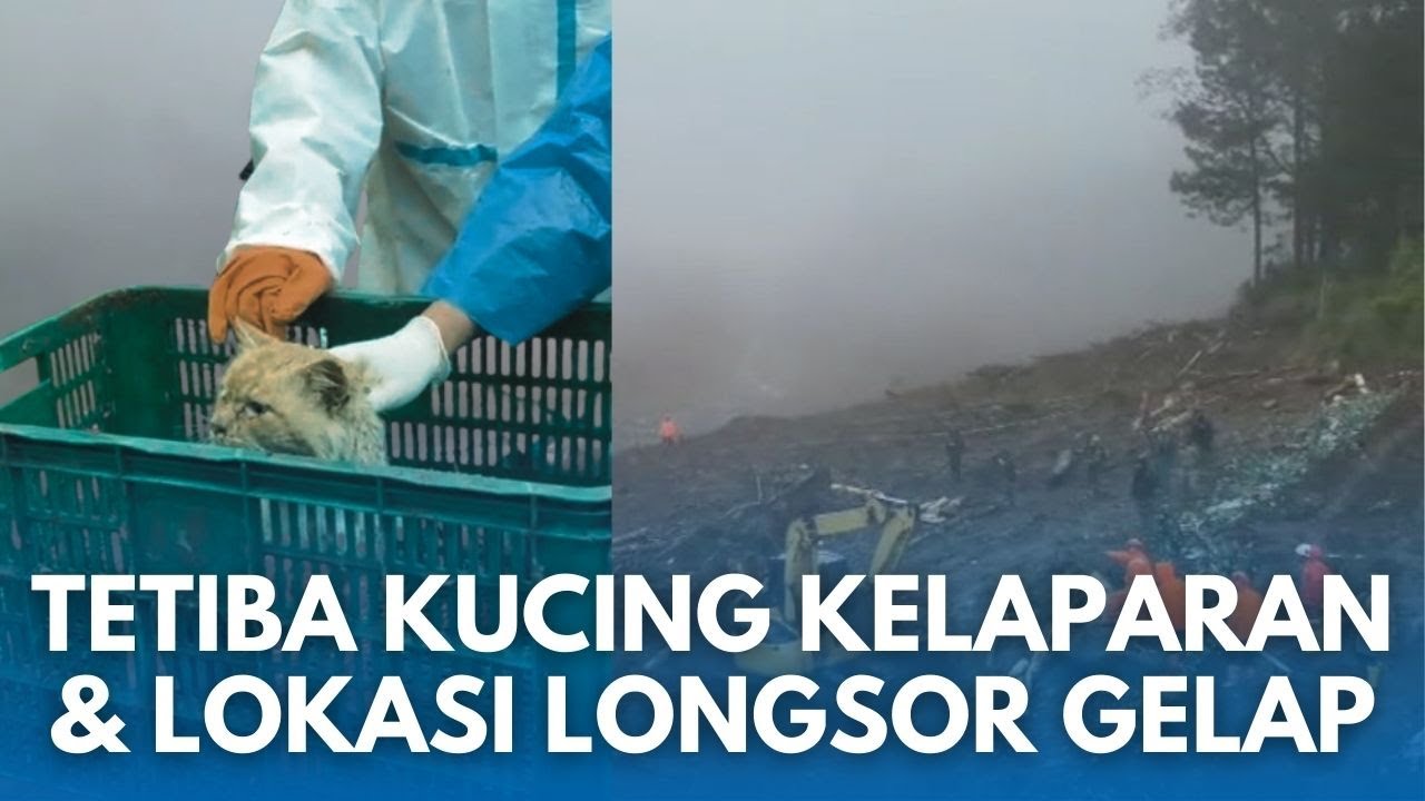 HARI INI TAK BIASA LOKASI LONGSOR CISARUA: Ada Kucing Oren Kelaparan Lusuh Kurus & Kabut Kegelapan
