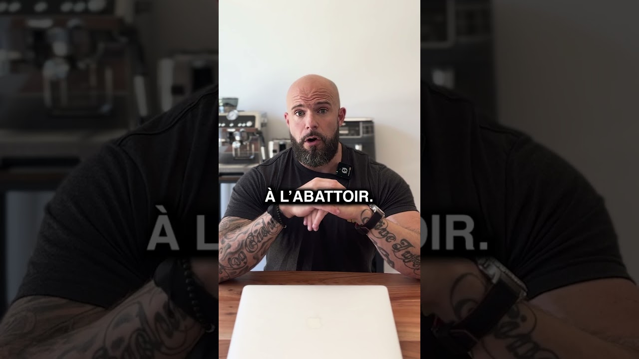 La v&eacute;rit&eacute; sur la viande chevaline🤫🥩#Qu&eacute;bec #Cheval #Alimentation