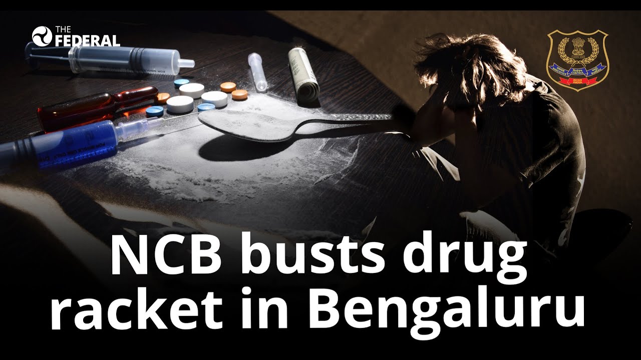 Anti-drugs agency busts racket, recovers buds worth ₹1.75 Cr