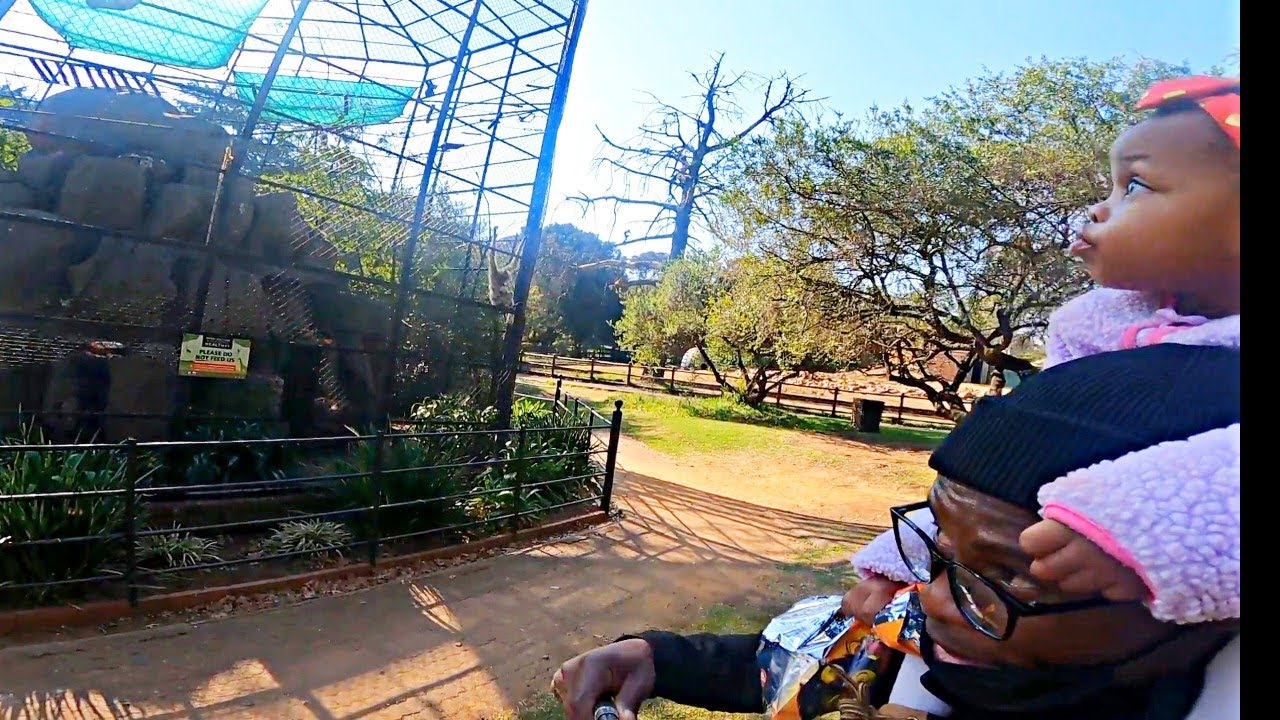 The Other Side Of South Africa -Johannesburg Zoo
