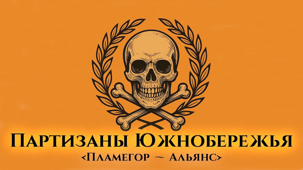 [Партизаны Южнобережья] маневрируют