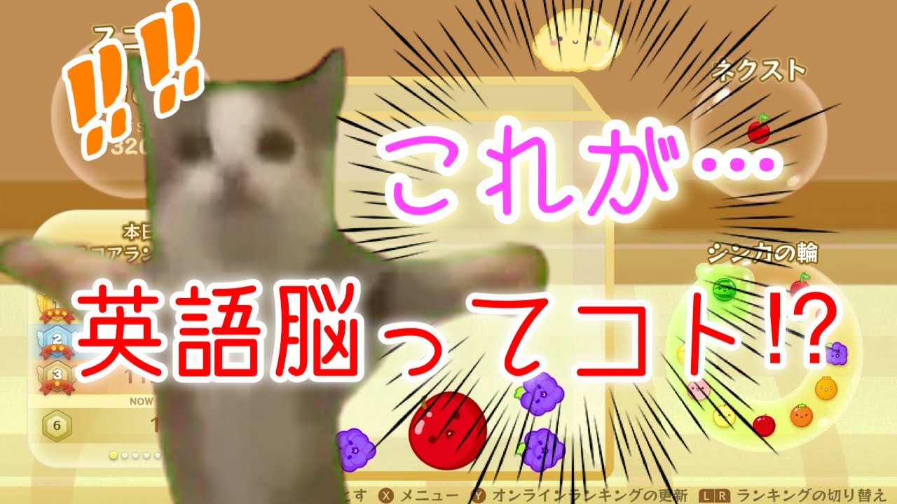 アメリカ留学中英語が急激にわかるようになった瞬間【猫ミーム】【猫ミーム】