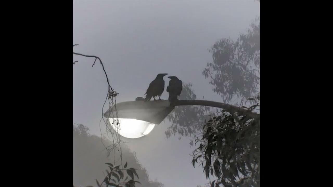 [free for profit] xxxtentacion x aftertheparty type beat  - 