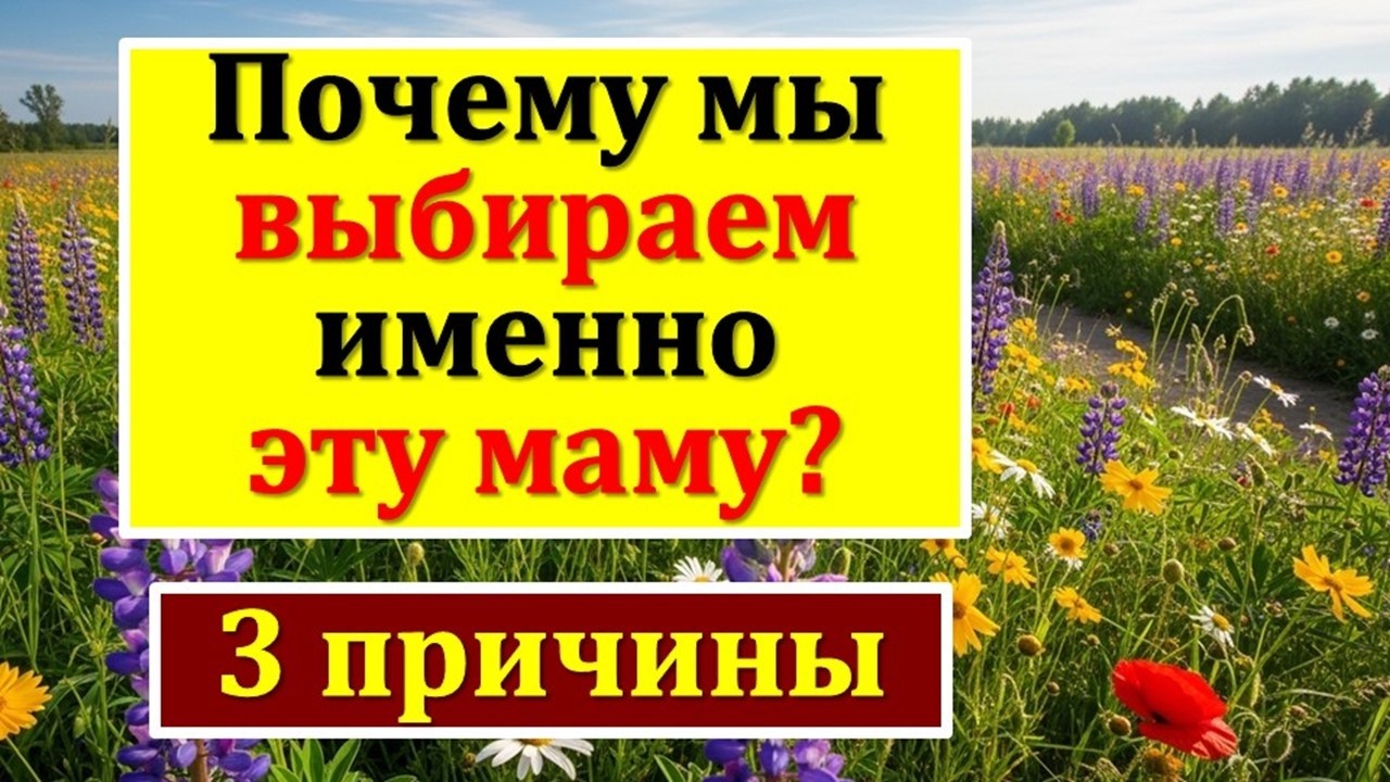 3 причины, по которым ваша душа пришла в вашу семью. Как выбор мамы определяет всю нашу жизнь