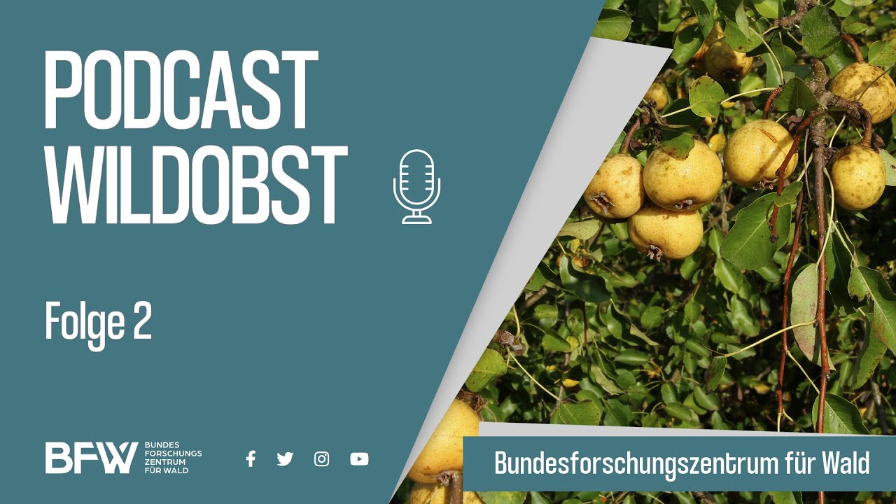 Podcast Wildobst | Teil 2