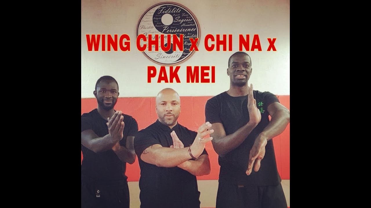 Wing chun, Chi na ,Pak mei 3 styles en 1