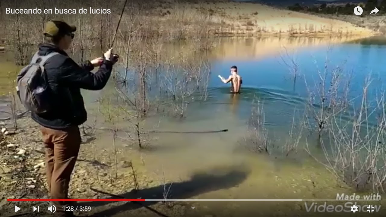 Buceando en busca de lucios
