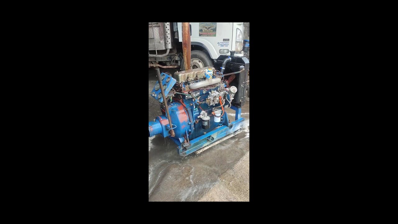 Reparación integra del motor  shanghai 459bg 48hp - pistoncani - #pistoncani
