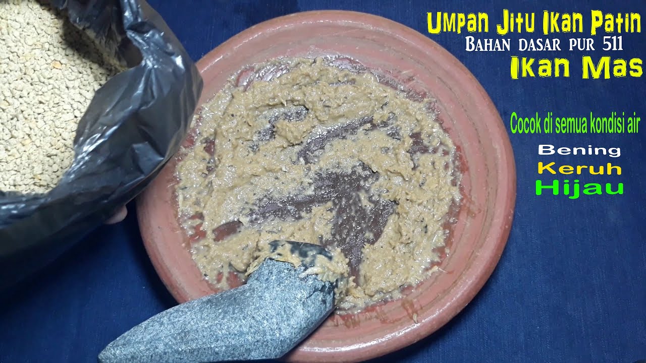 Umpan Super Jitu Ikan Patin dan Ikan Mas bahan dasar Pur Ayam 511, cocok buat lomba dan galatama