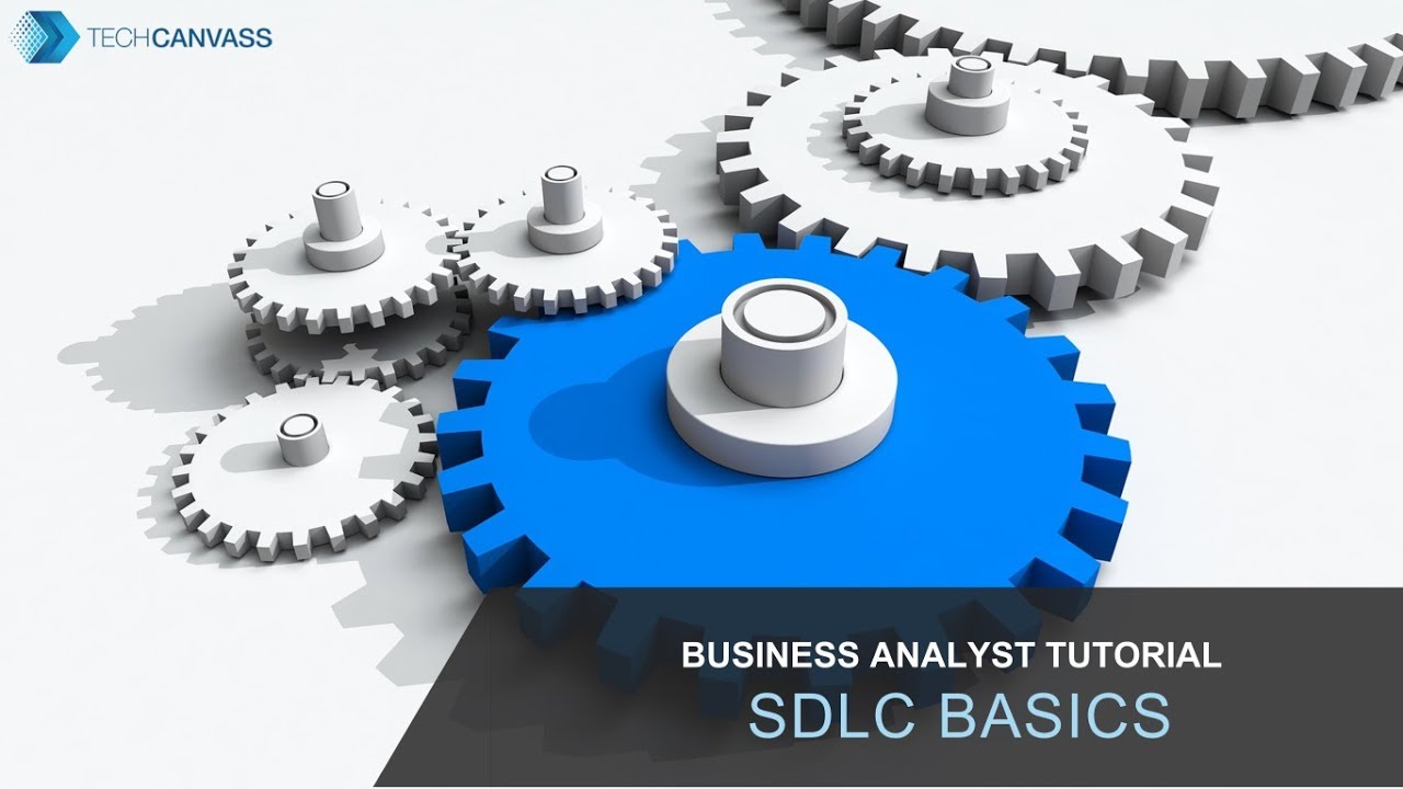 Business Analyst Tutorial | Software Development life cycle (SDLC) methodologies | Techcanvass