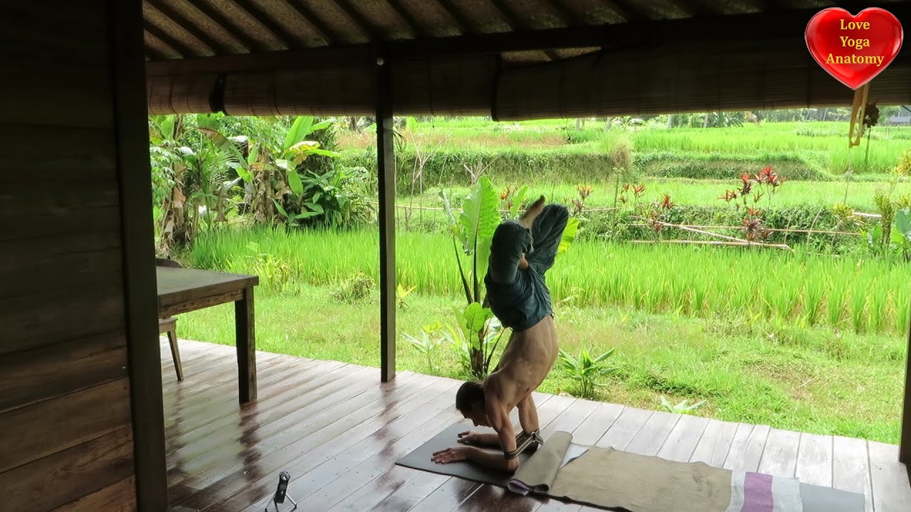 Karandavasana (waterfowl posture)