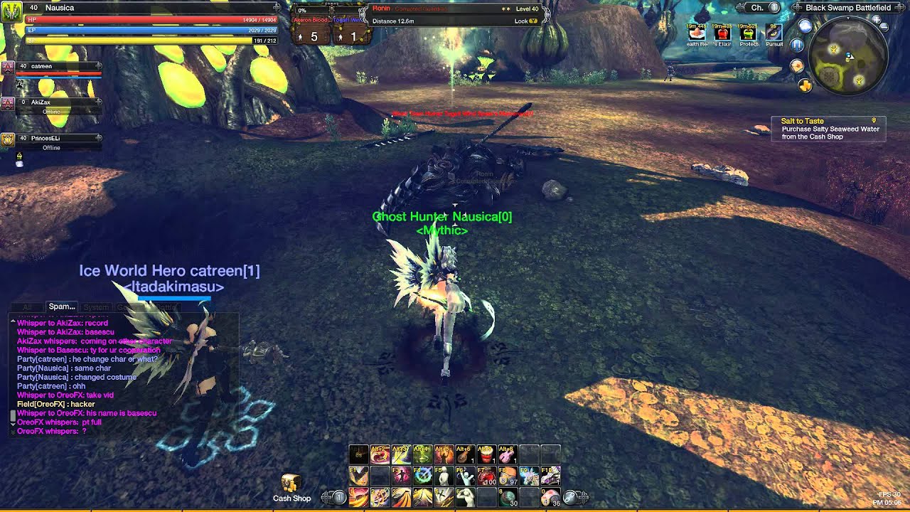 Raiderz Crawler stack hacker Basescu