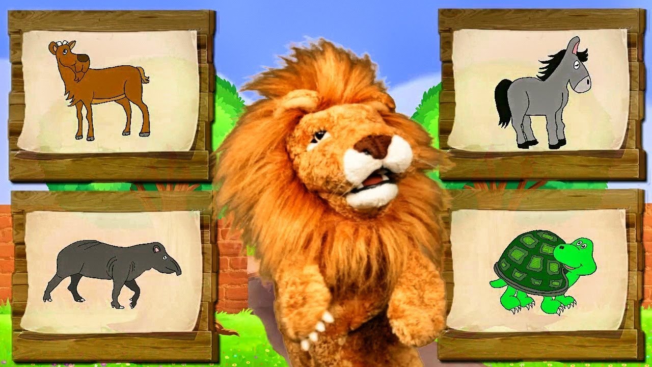 Canciones Infantiles del Zoo | El Leon Lorenzoo nos presenta a los animales | Videos Educativos