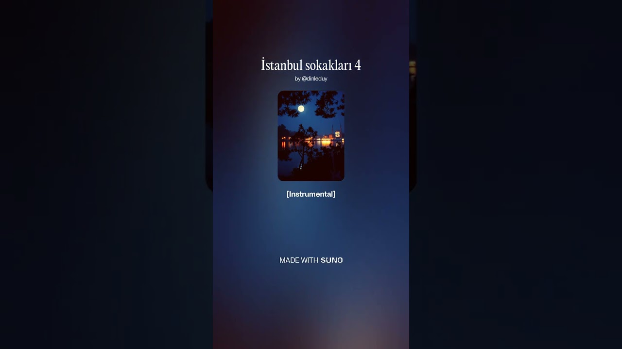 İstanbul sokakları 4
