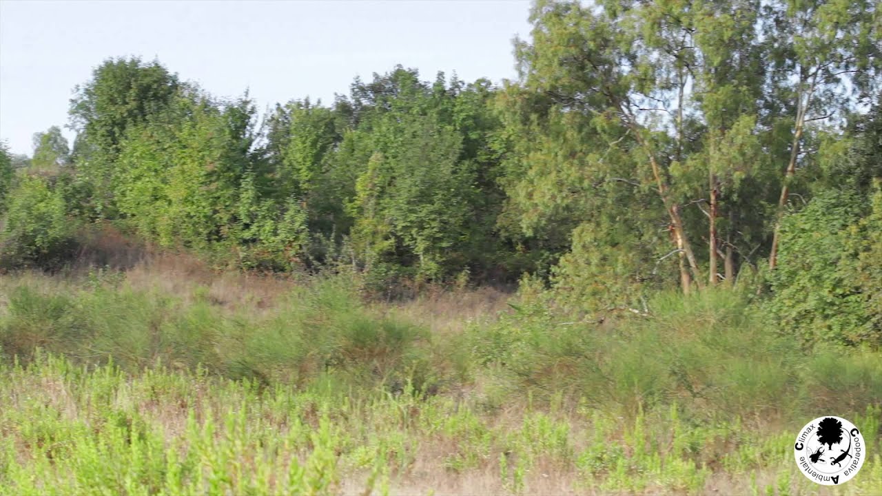 RISERVA NATURALE DELL'INSUGHERATA
