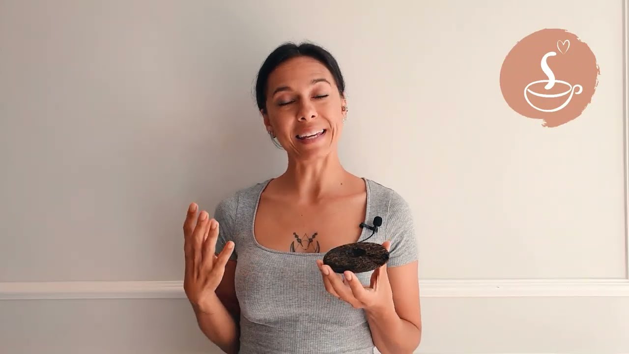 O que é Chá Puerh? Uma breve introdução ao Dark Tea