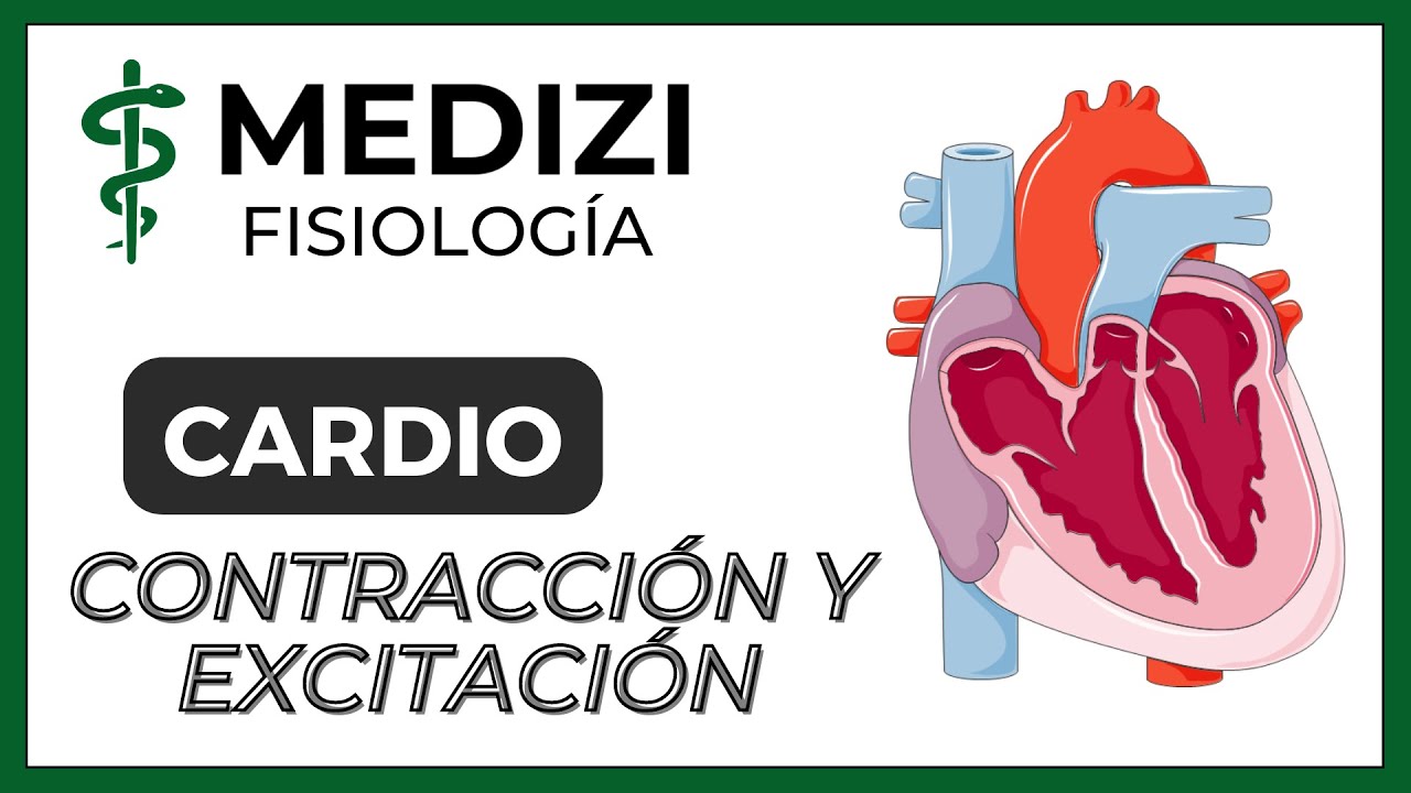 Clase 16 Fisiología Cardíaca 1 - Contracción-excitación y Potencial de acción (IG:@doctor.paiva)