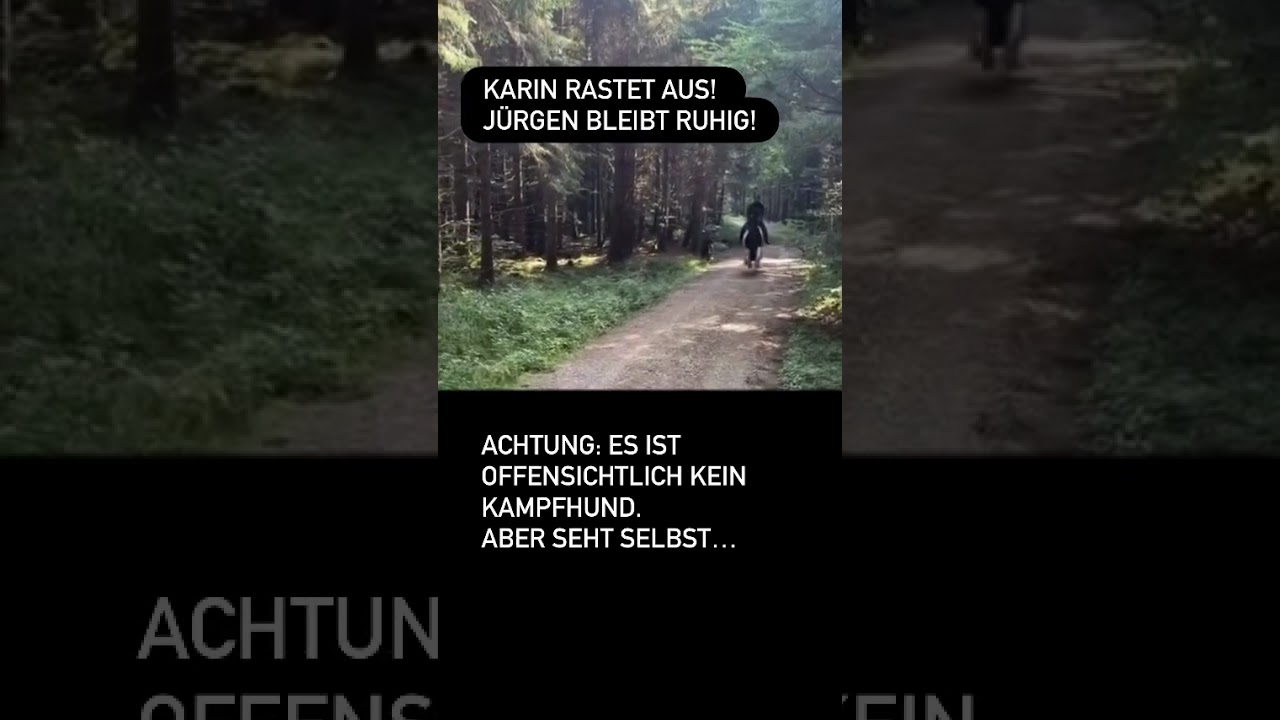 Kampfhunde geh&ouml;ren an die Leine !🤬😵 #Hund #pferd #hobbyhorsing #kampfhunde #shortinator