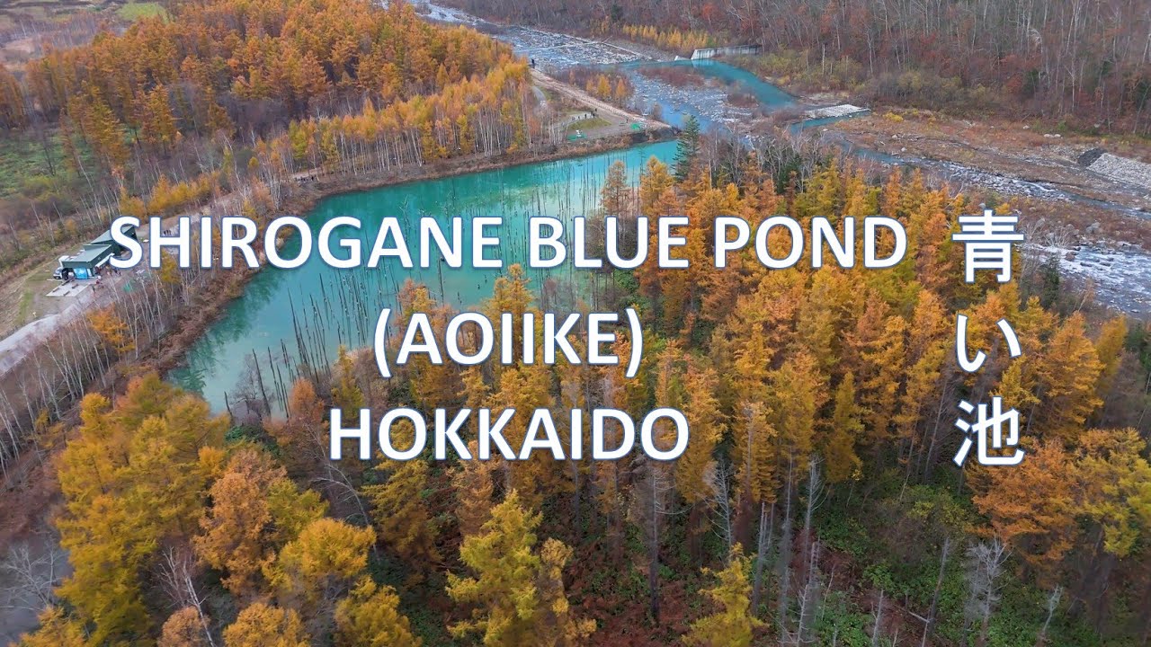 Shirogane Blue Pond (Aoiike) from Above: Stunning Aerial views of Hokkaido's Hidden Gem