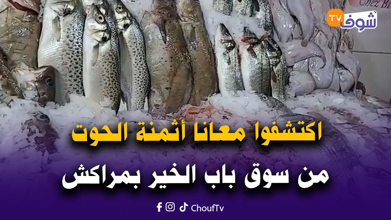 اكتشفوا معانا أثمنة الحوت صباح يومه السبت من سوق باب الخير..الطراوة و الجودة مضمونة