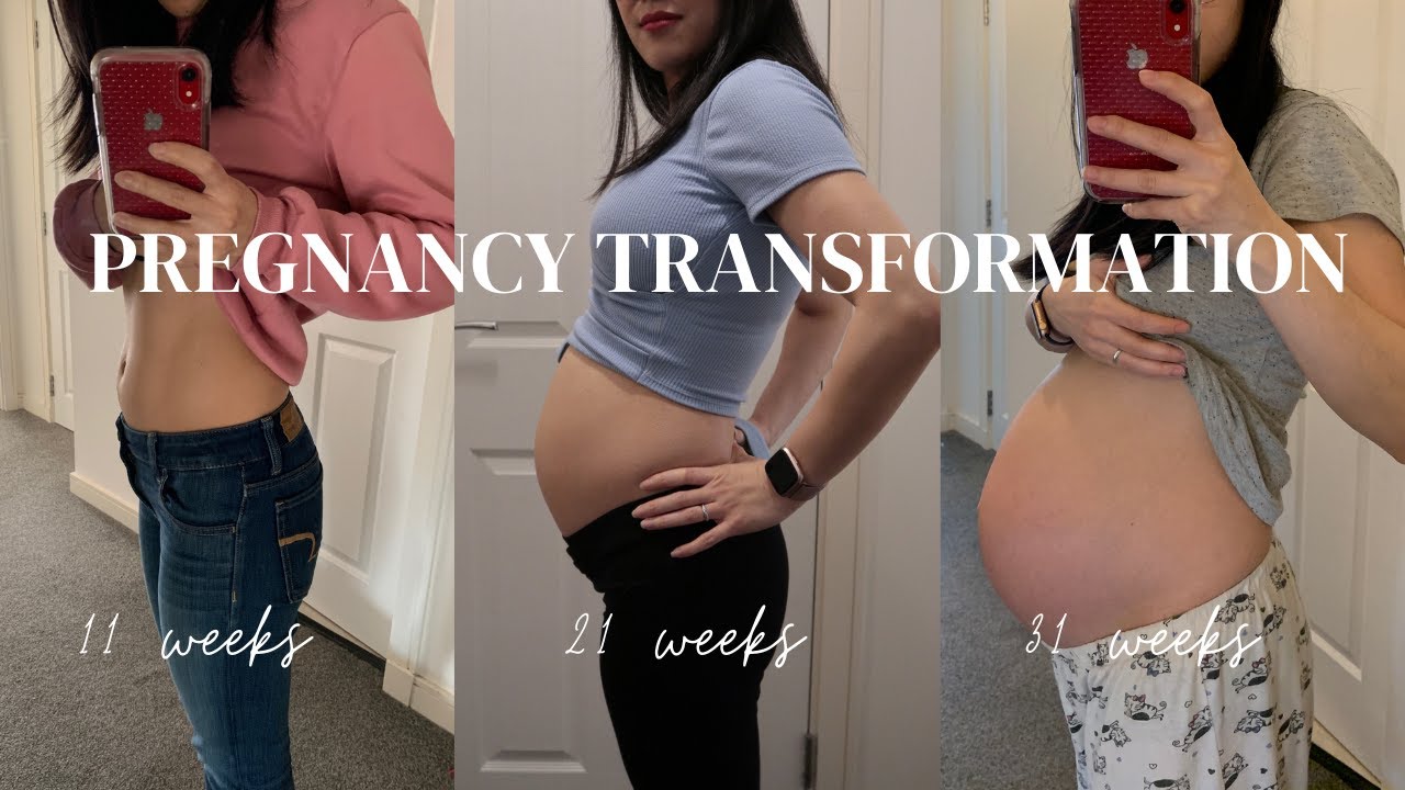 PREGNANCY TRANSFORMATION : Week by Week Progress | Curry and Dumpling