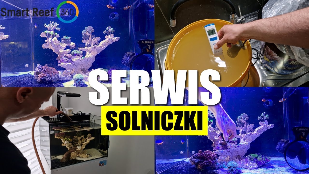 Akwarium Morskie Mitoja Capex 120 - System Smart Reef 360 od. 6 Serwis