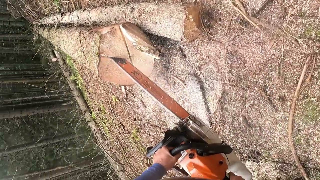 Holzfällen Stihl 400c