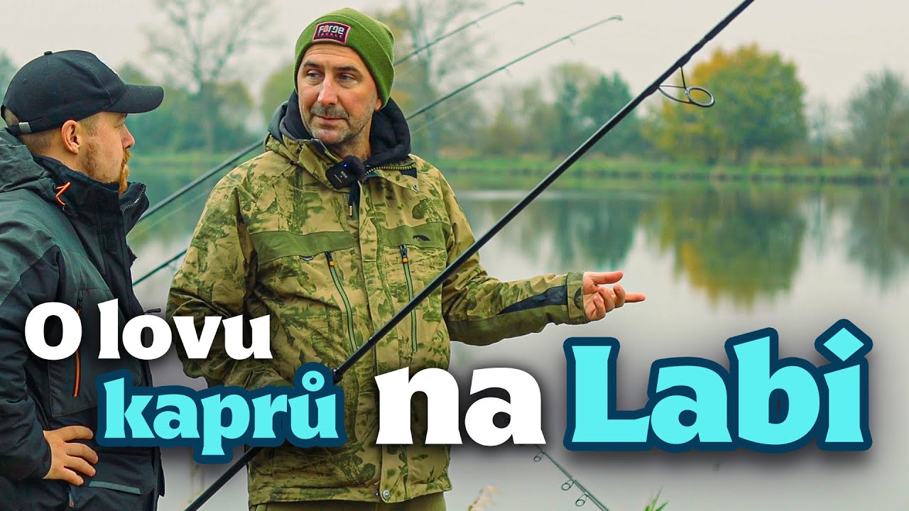 O lovu kaprů na Labi s Davidem Fořtem - Rybománie na rybách #28