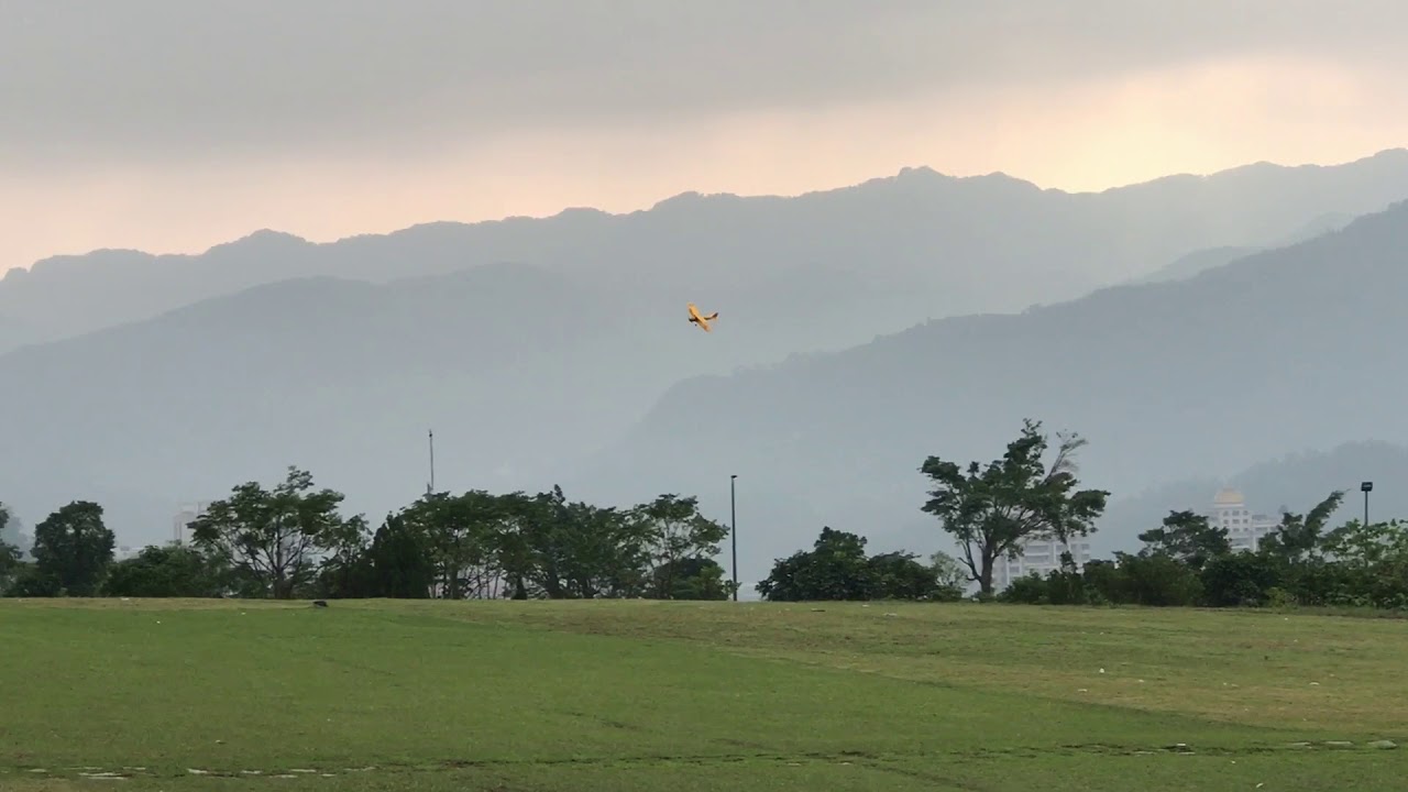 Phoenix Tiger Moth w/ Saito FG11