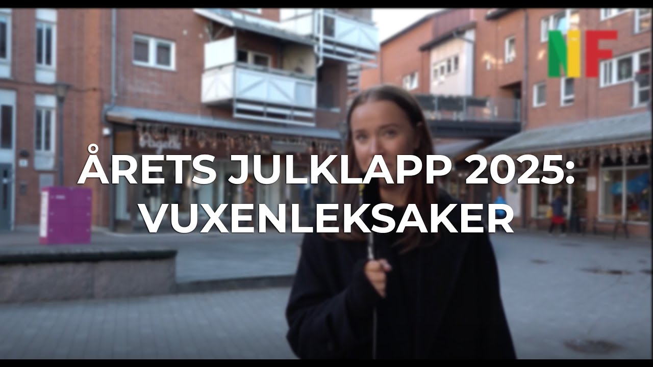 &Aring;rets julklapp 2025: Vuxenleksaker